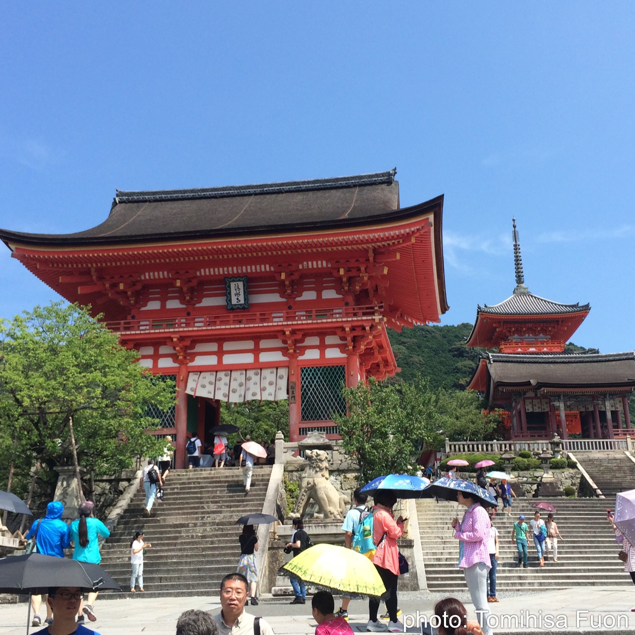 清水寺（京都） 